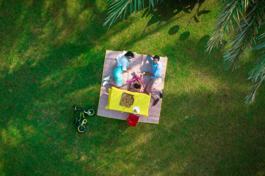 picnic al aire libre